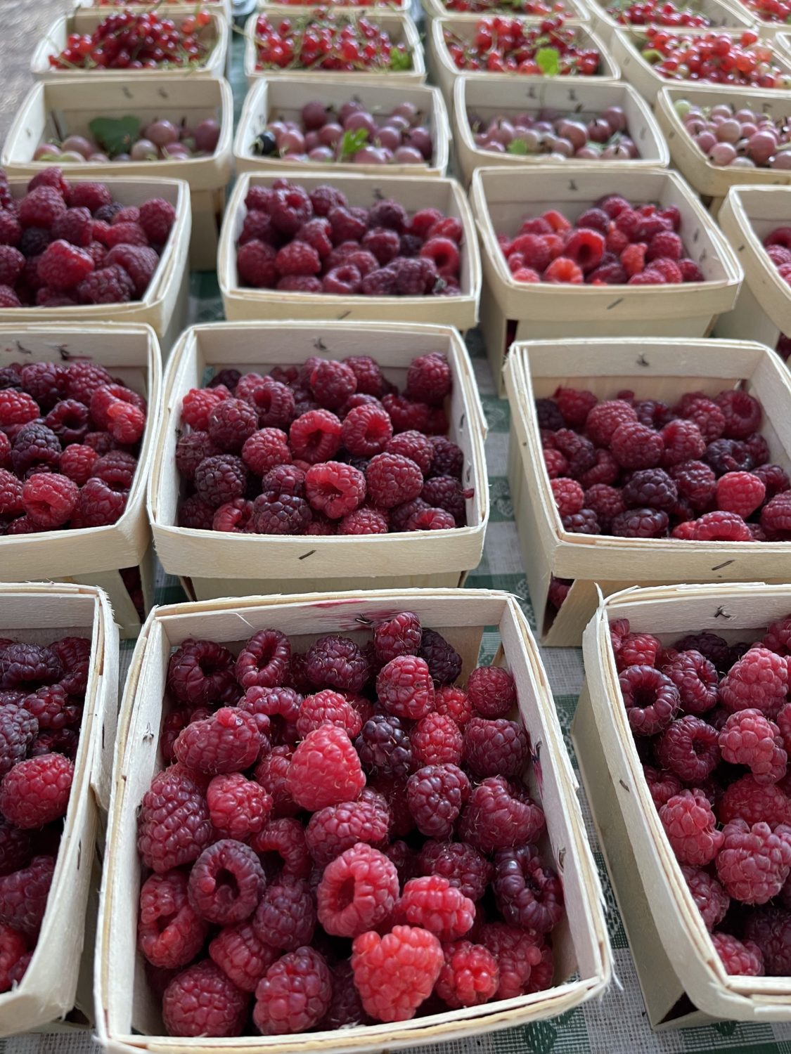 raspberries at farmer's market