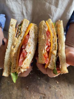 club sandwich in teri's hands
