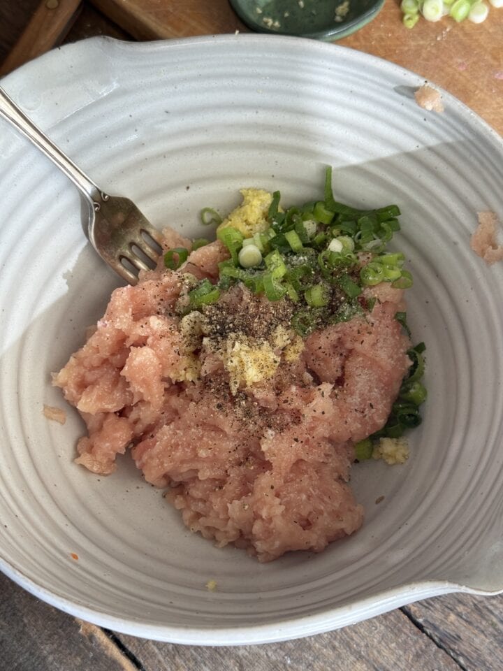 ground chick with spices and herbs on top in a white bowl