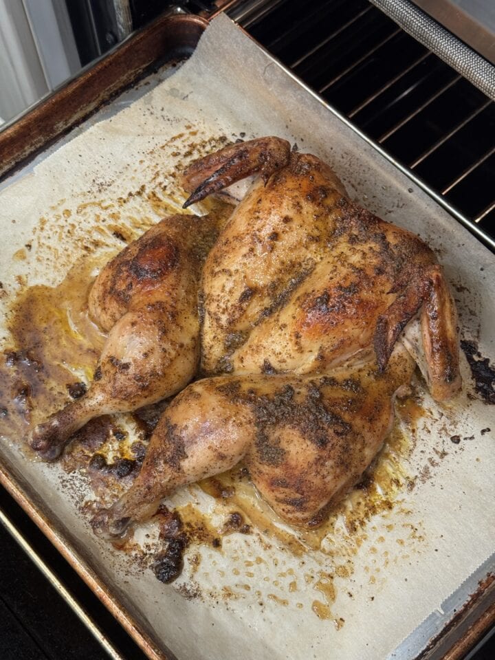 roasted spatchcock chicken out of oven on baking pan