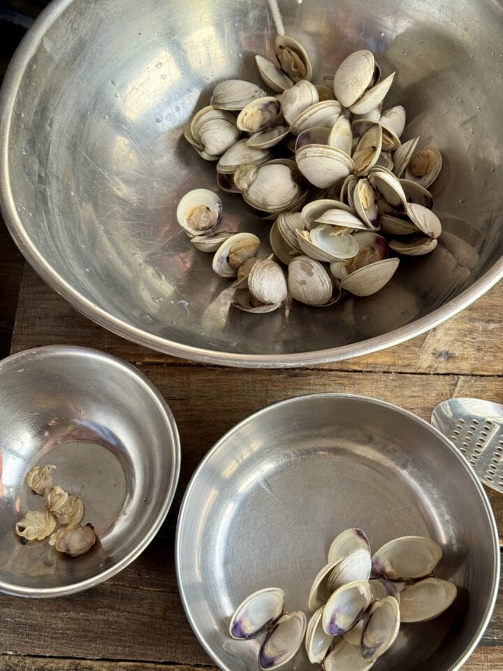 clams opened in a large bowl with two smaller bowls next to it