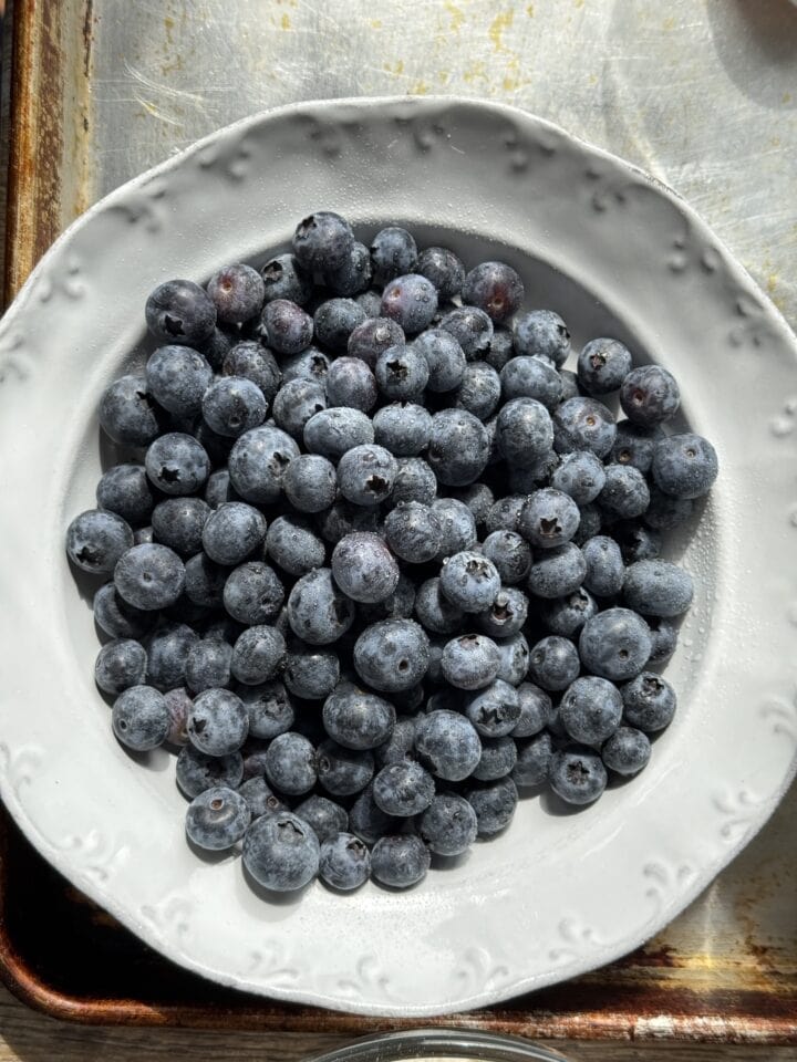 blueberries in a white bowl